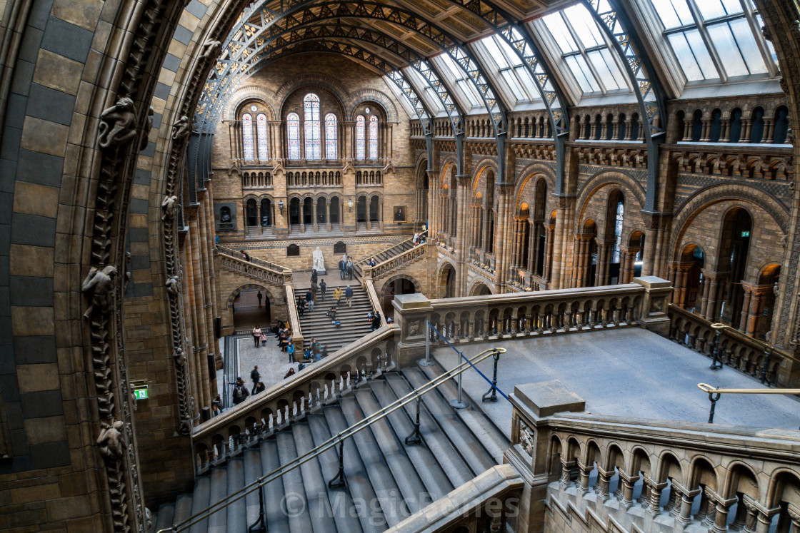 "Natural History Museum, London" stock image