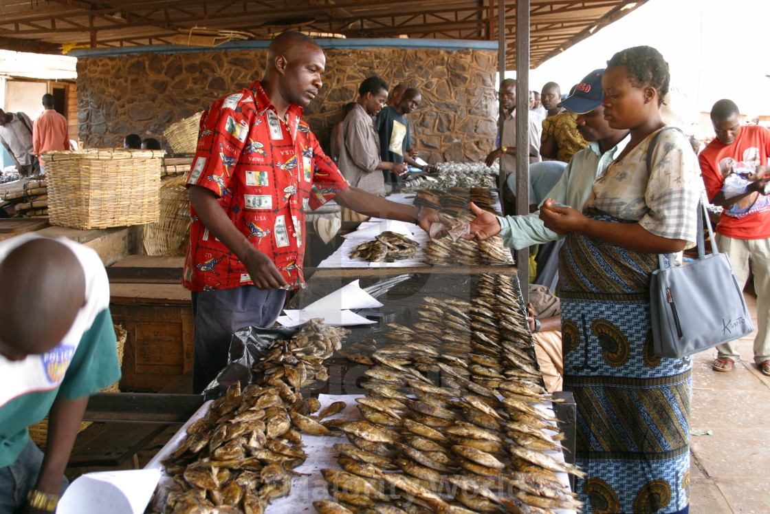Fish Market Lilongwe Malawi 10 25 2005 License Download Or Print For 74 40 Photos Picfair