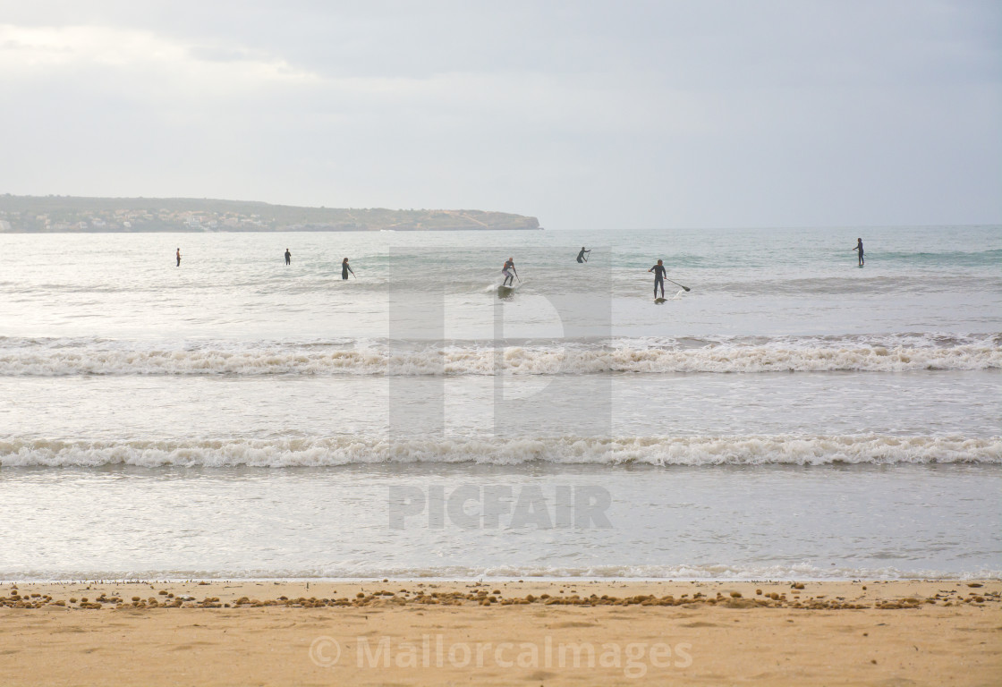 Surfers In Can Pastilla License Download Or Print For 9 99