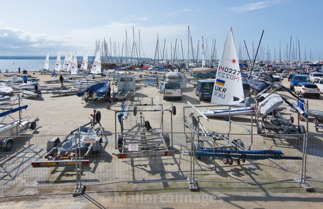 Windsurfing Competition In Playa De Palma License Download Or