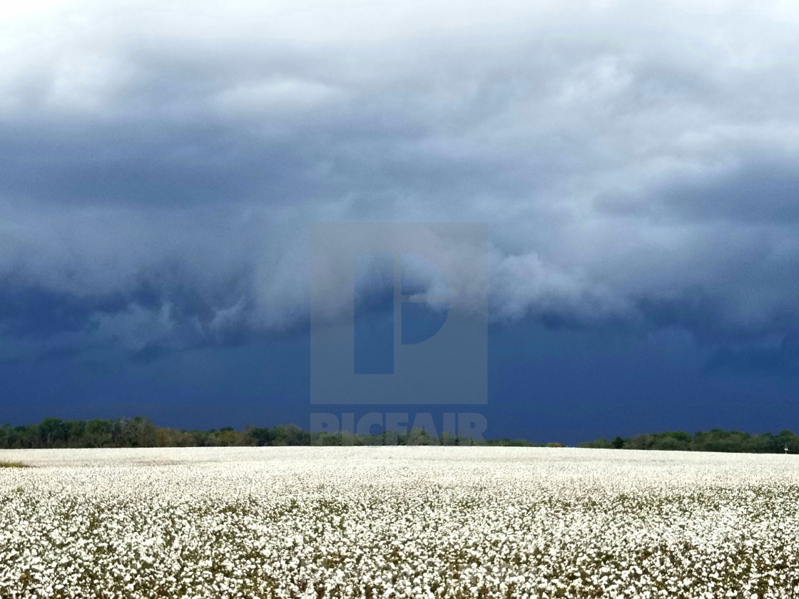 "A storms a comin" by Mandy Vinson - £12.40 "A storms a comin" stock image