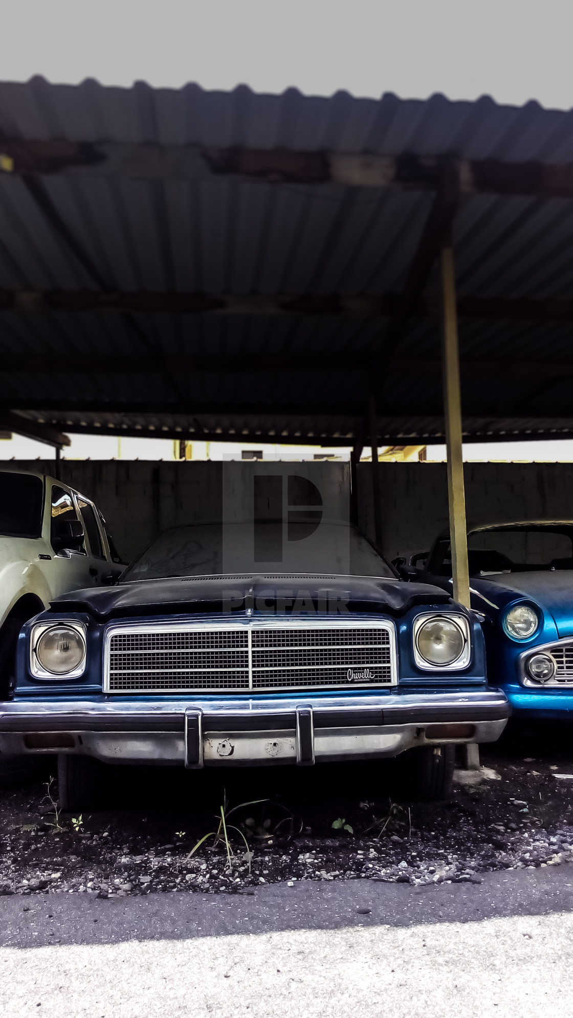 Old Blue American Muscle Car Chevrolet Chevelle Sitted In Brazilian Junkyard License Download Or Print For 6 20 Photos Picfair