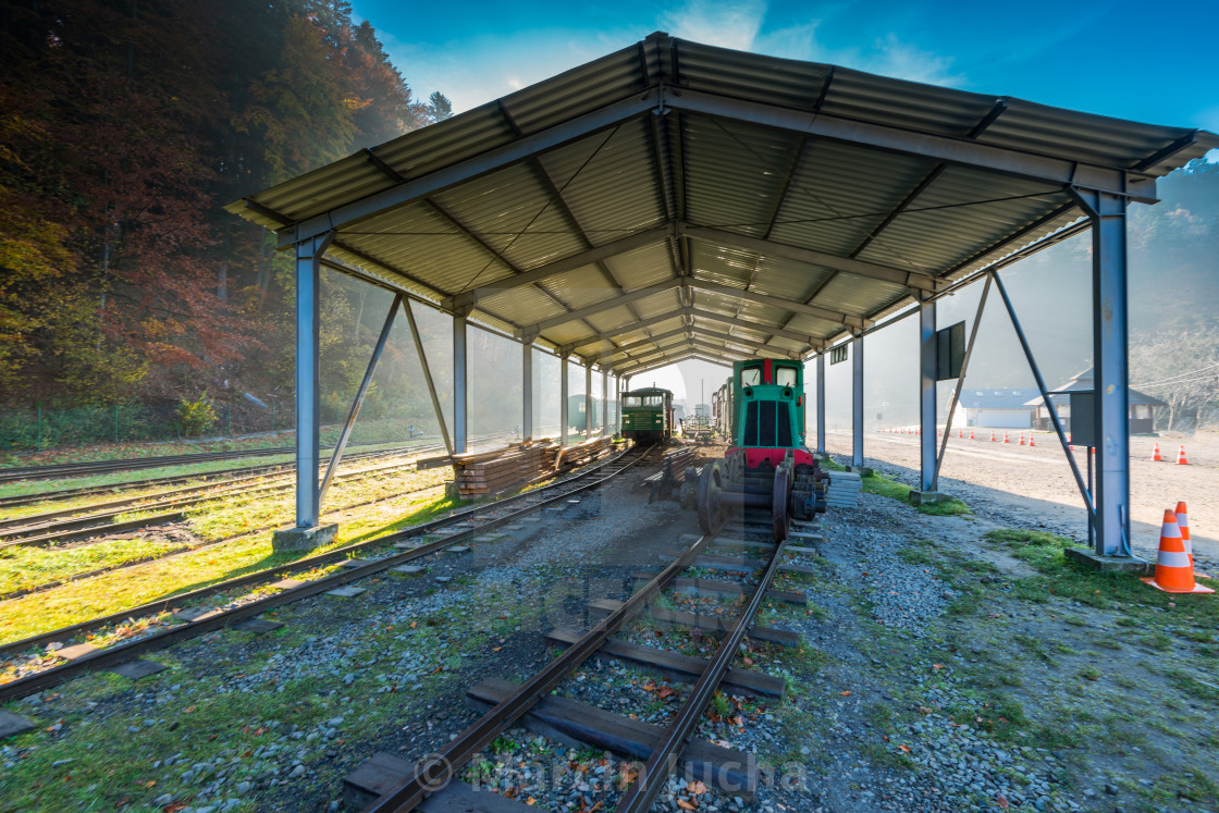 Railway Train At Abandoned Train Station In Carpathia