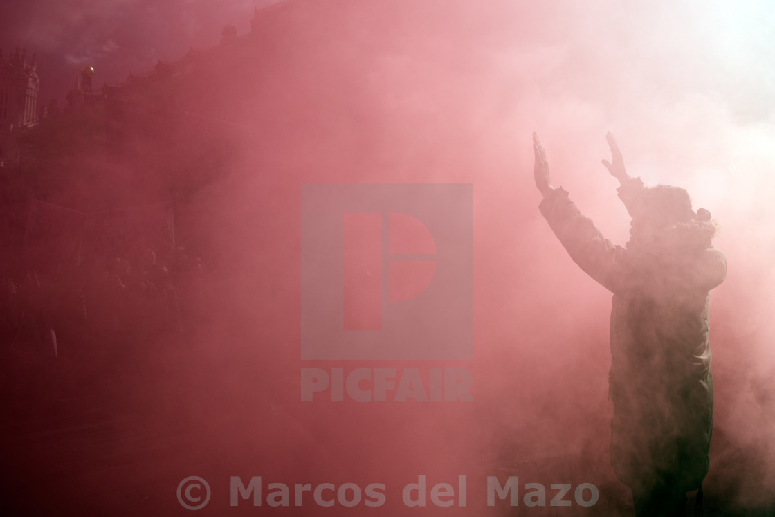 "Protester in the smoke" stock image