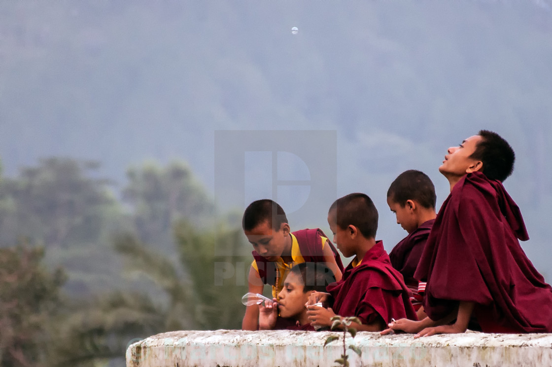 "Young Monks playing" stock image