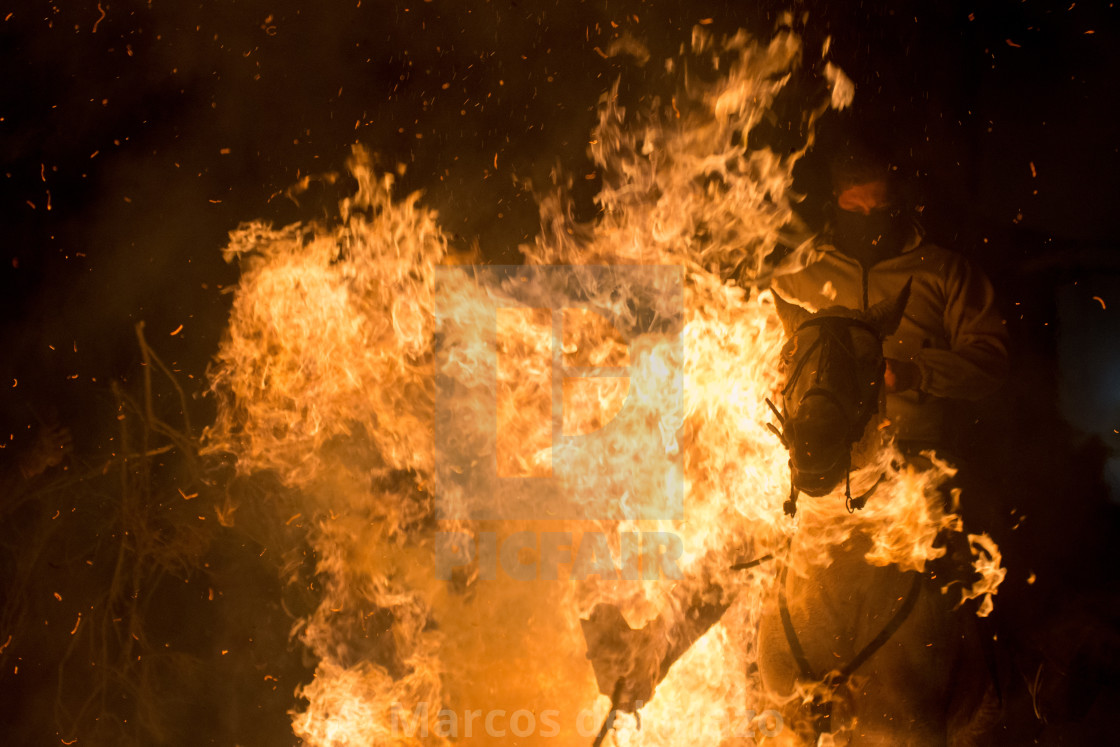 "Horse in fire" by Marcos del Mazo - $15.39 "Horse in fire" stock image