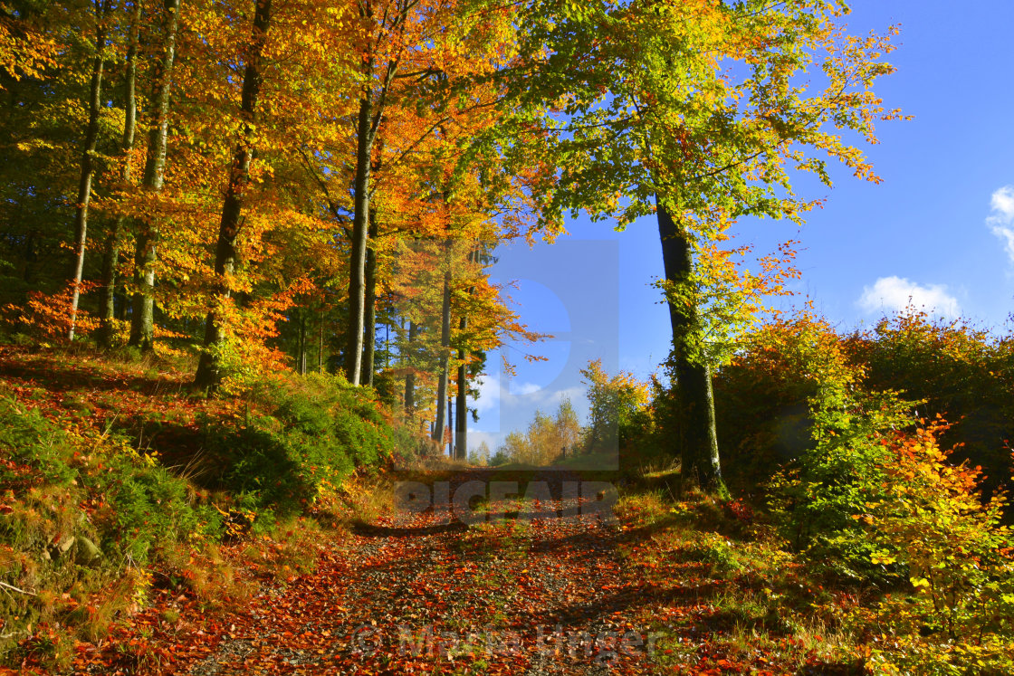 "Autumnfeeling" stock image