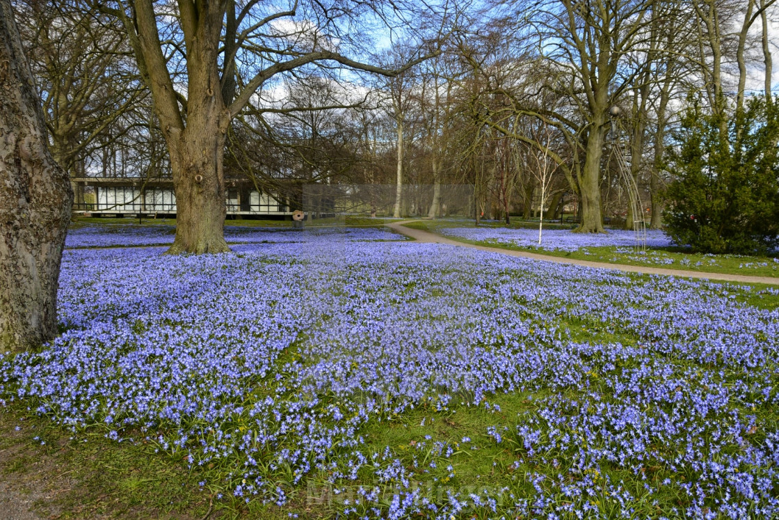 "A bluegreen field" stock image