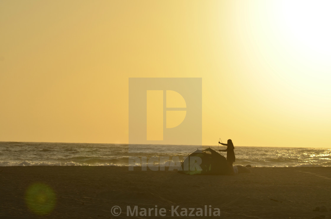 "dusk silhouettes young couple on beach work together putting up camping tent" stock image