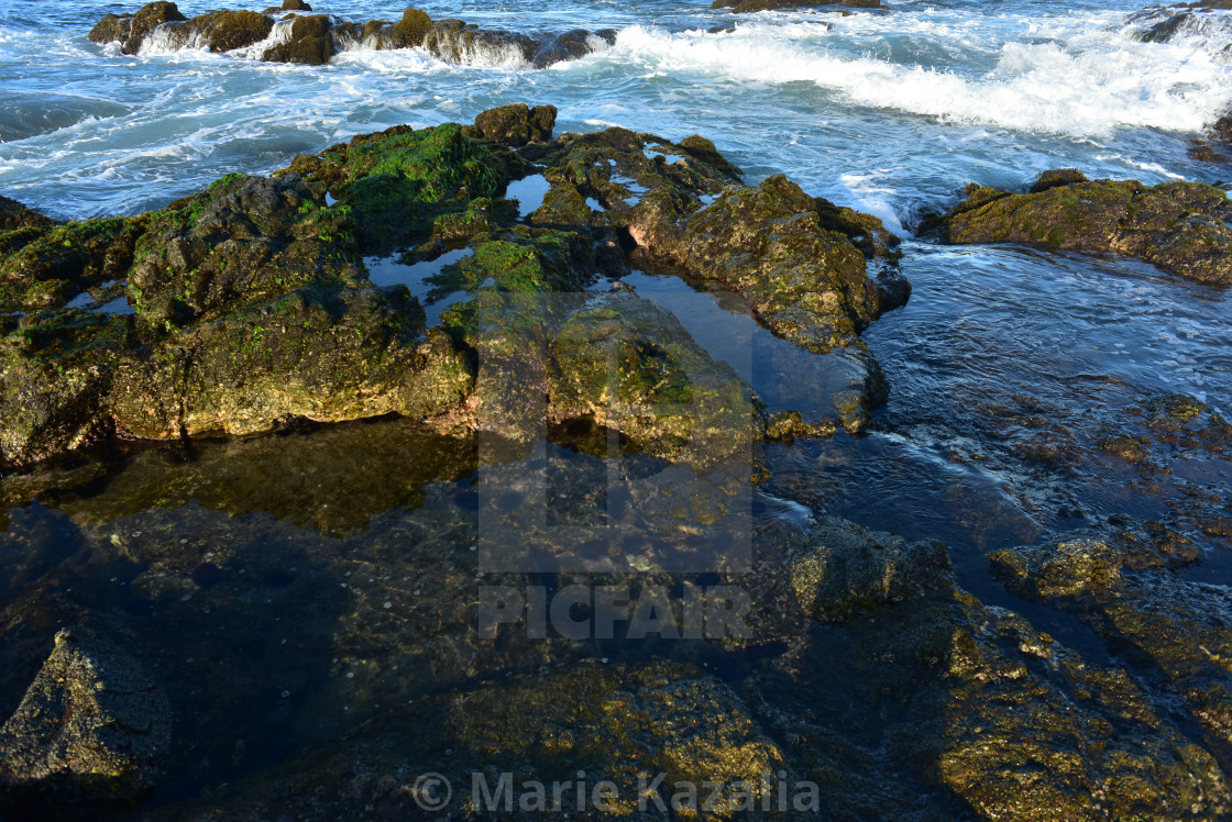 "Pacific Ocean rocky coastal tidal pools Baja, Mexico" by Marie Kazalia - £12.40 "Pacific Ocean rocky coastal tidal pools Baja, Mexico" stock image