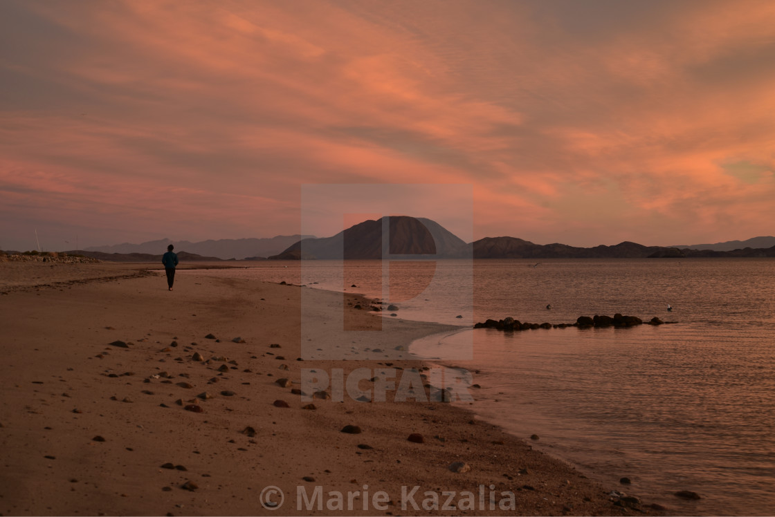 "one person walking on beach at sunrise in Baja, Mexico" by Marie Kazalia - $15.16 "one person walking on beach at sunrise in Baja, Mexico" stock image