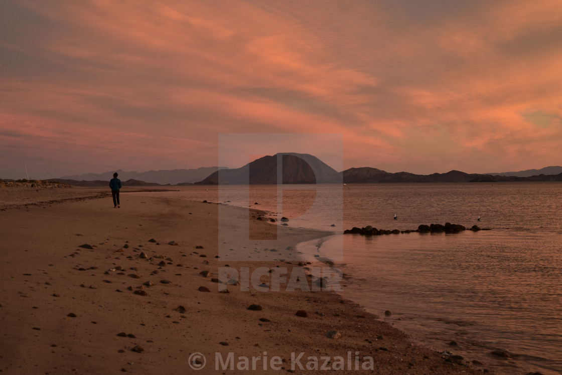 "one person walking on beach at sunrise in Baja, Mexico" by Marie Kazalia - $15.16 "one person walking on beach at sunrise in Baja, Mexico" stock image