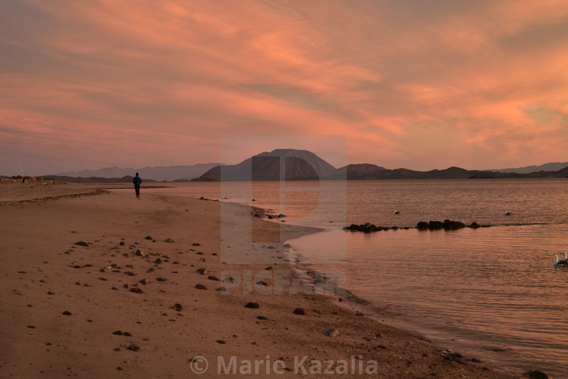 "one person walking on beach at sunrise in Baja, Mexico" by Marie Kazalia - $15.16 "one person walking on beach at sunrise in Baja, Mexico" stock image
