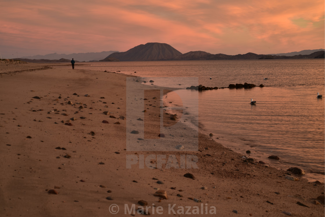 "one person walking on beach at sunrise in Baja, Mexico" by Marie Kazalia - $15.16 "one person walking on beach at sunrise in Baja, Mexico" stock image