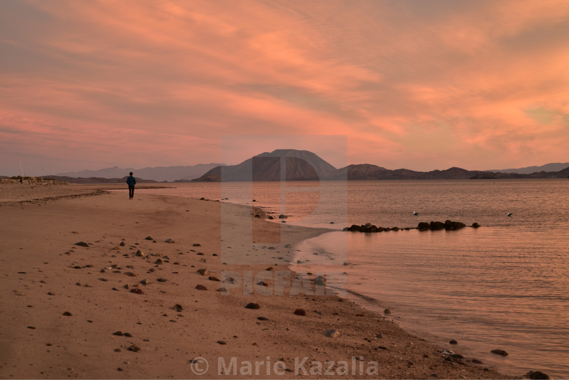 "one person walking on beach at sunrise in Baja, Mexico" by Marie Kazalia - $15.16 "one person walking on beach at sunrise in Baja, Mexico" stock image