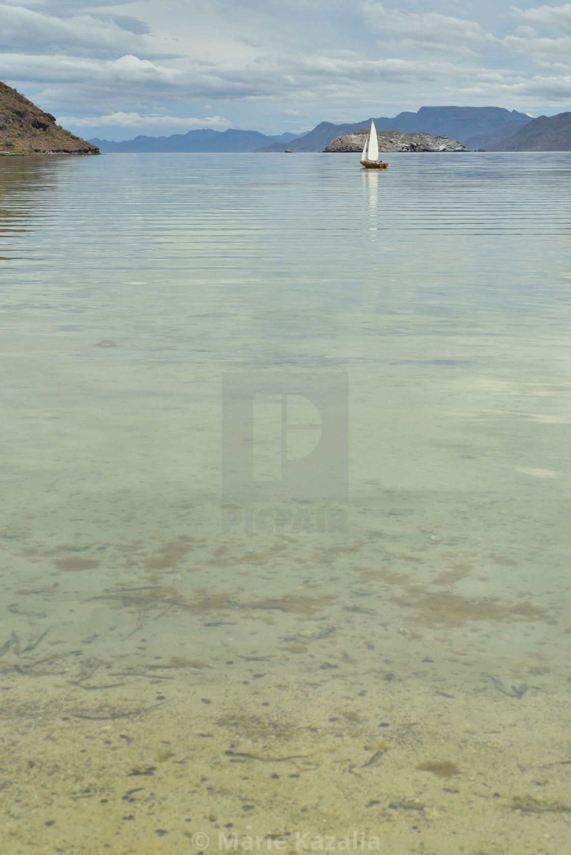 "sailboat sailing water of Sea of Cortez Baja, Mexico" by Marie Kazalia - $15.16 "sailboat sailing water of Sea of Cortez Baja, Mexico" stock image