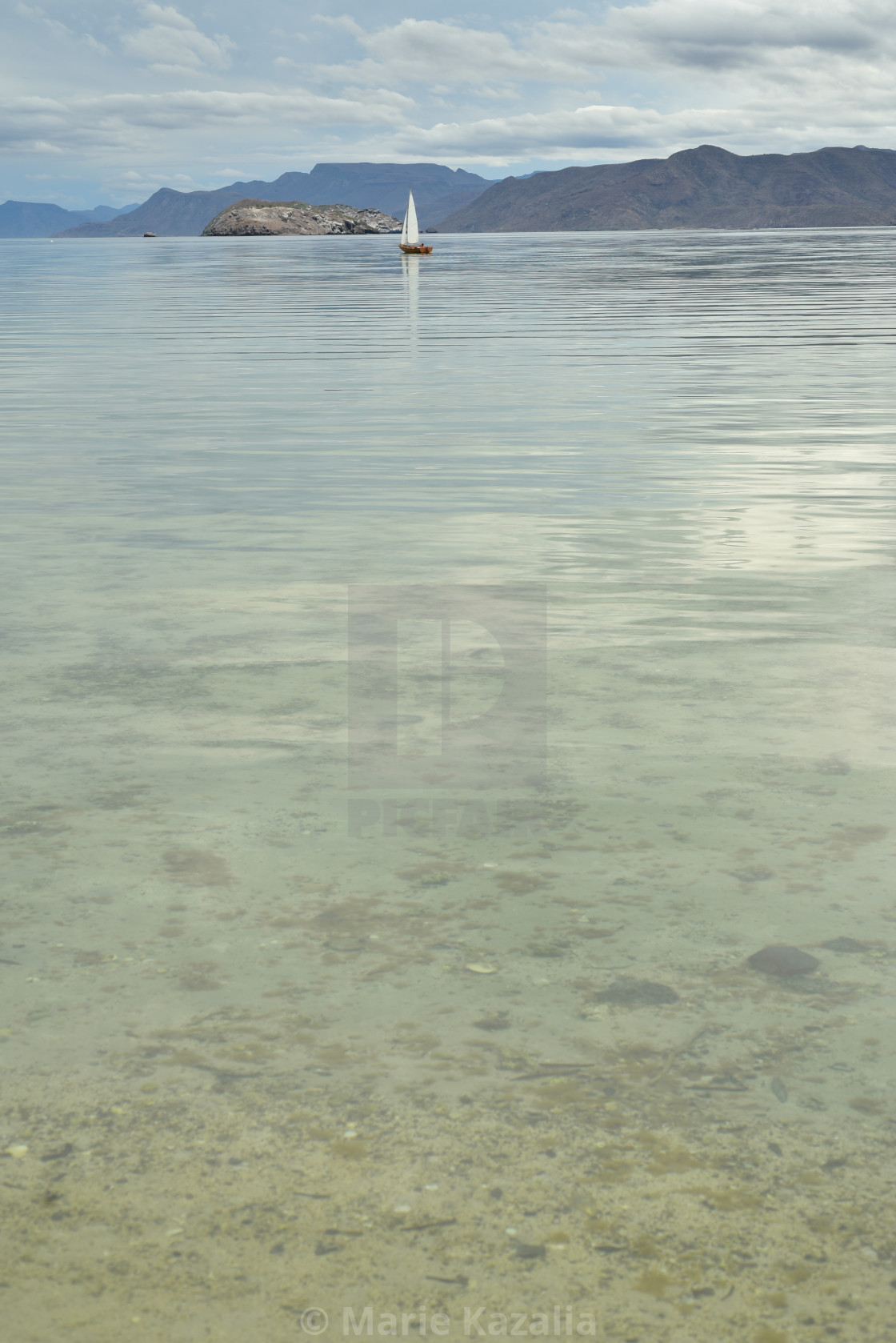 "sailboat sailing water of Sea of Cortez Baja, Mexico" by Marie Kazalia - $15.16 "sailboat sailing water of Sea of Cortez Baja, Mexico" stock image
