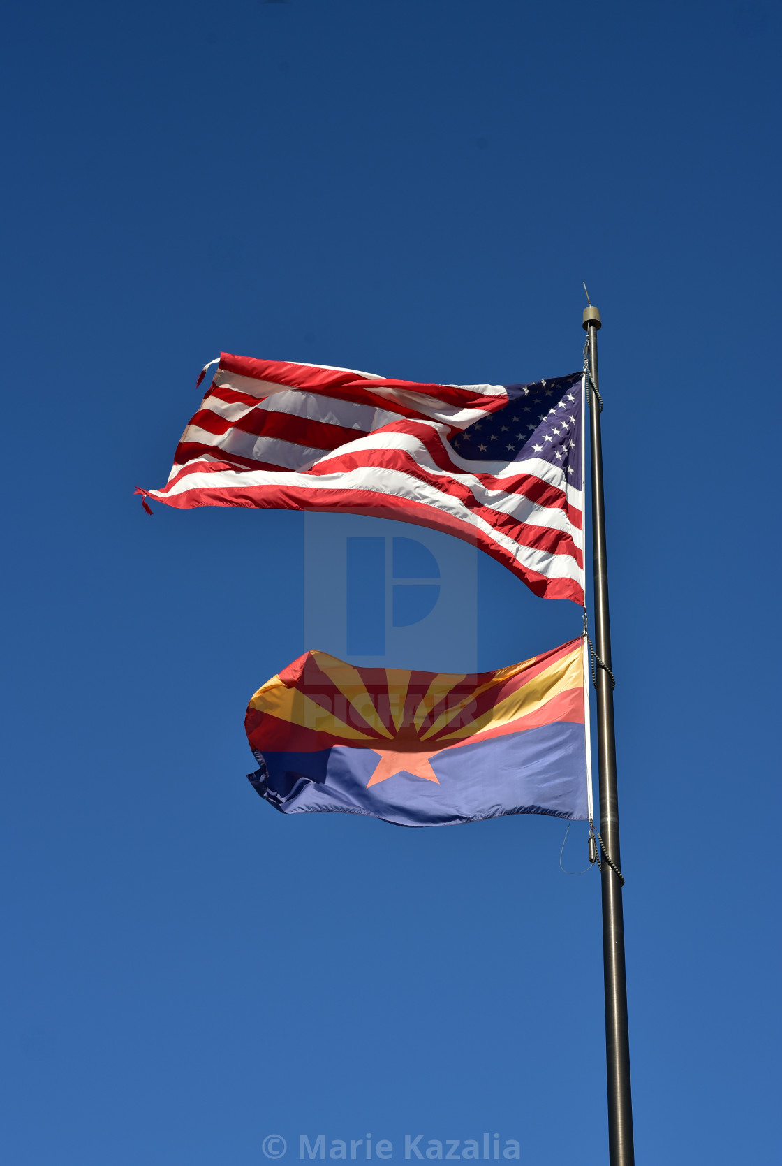 "American flag and Arizona state flag flying on pole" by Marie Kazalia - $15.16 "American flag and Arizona state flag flying on pole" stock image