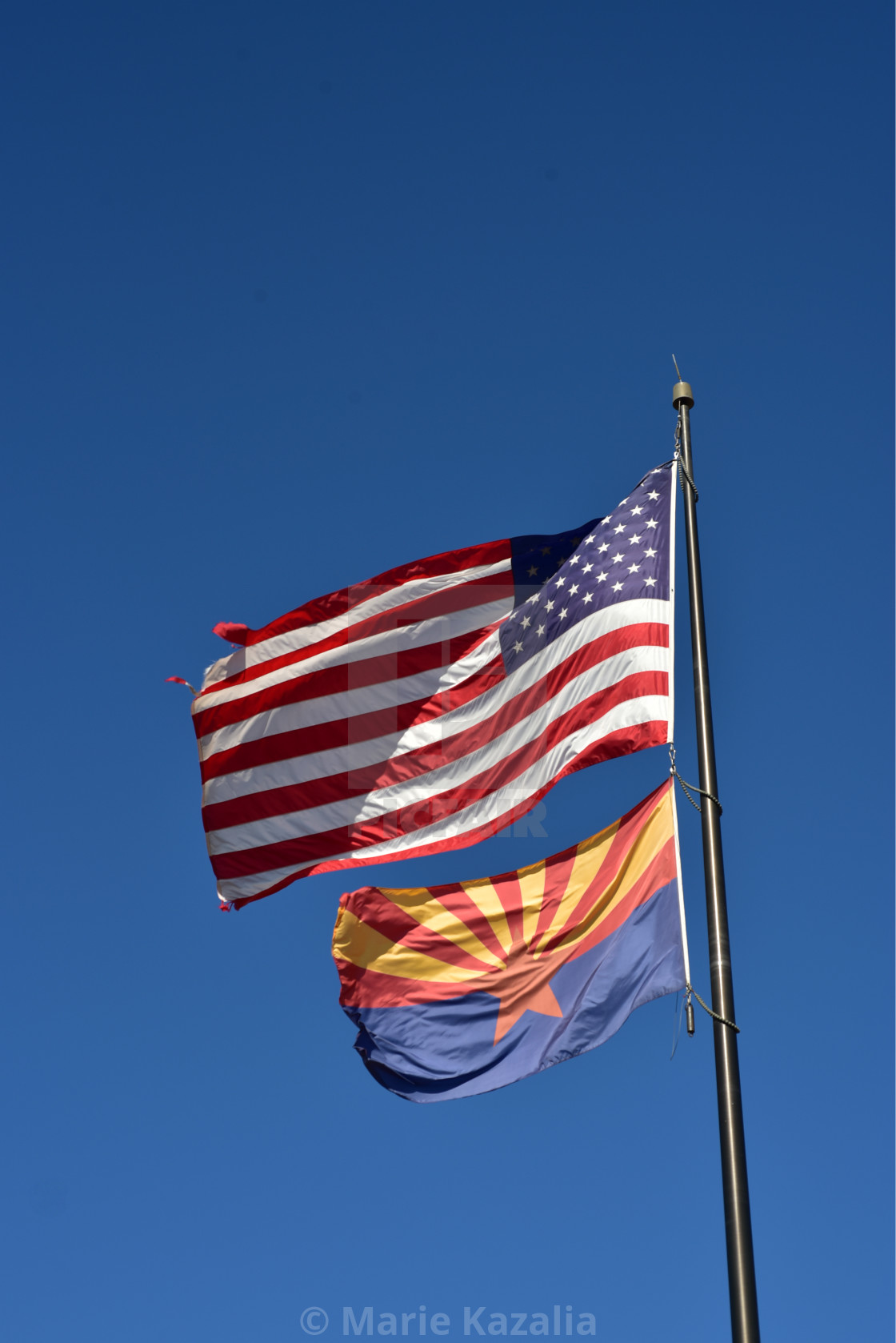 "American flag and Arizona state flag flying on pole" by Marie Kazalia - $15.16 "American flag and Arizona state flag flying on pole" stock image