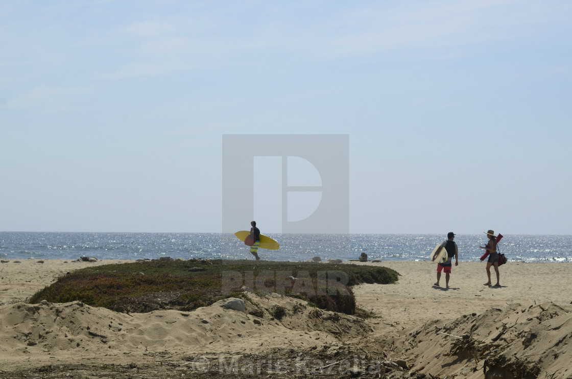 "surfers carrying surf boards walking on water's edge beach Baja, Mexico" stock image