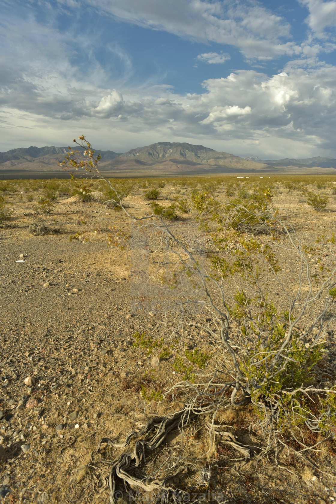"houses at base of mountain range in the town of Pahrump, Nevada, USA" by Marie Kazalia - $15.29 "houses at base of mountain range in the town of Pahrump, Nevada, USA" stock image