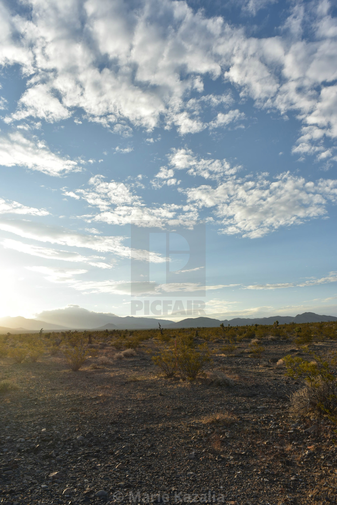 "houses at base of mountain range in the town of Pahrump, Nevada, USA" by Marie Kazalia - $15.29 "houses at base of mountain range in the town of Pahrump, Nevada, USA" stock image