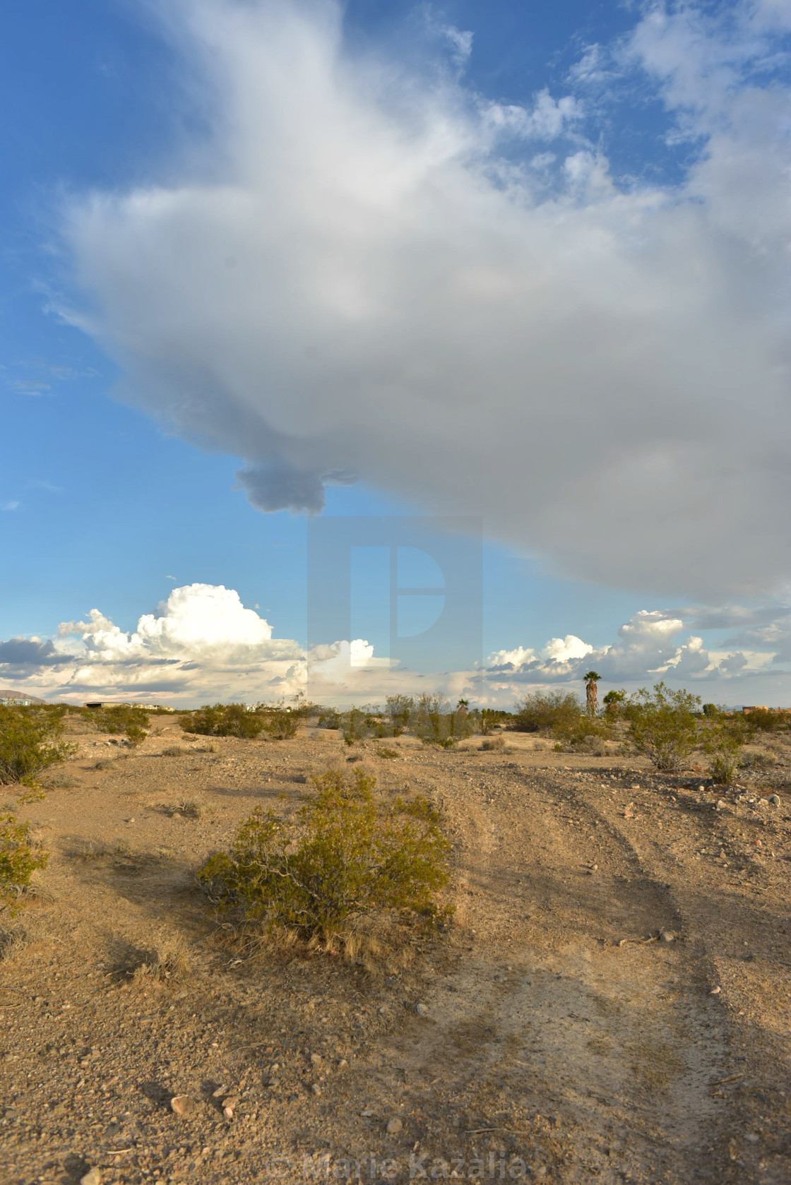 "town of Pahrump, Nevada, USA in Mojave Desert" by Marie Kazalia - $15.44 "town of Pahrump, Nevada, USA in Mojave Desert" stock image