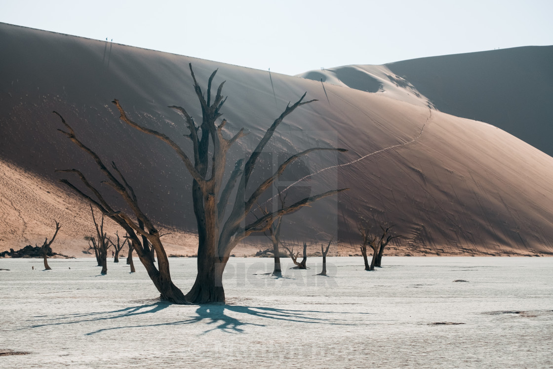 "Deadvlei II" stock image