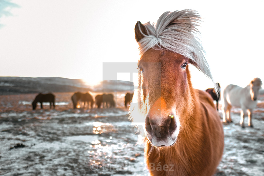 "Fabio" stock image