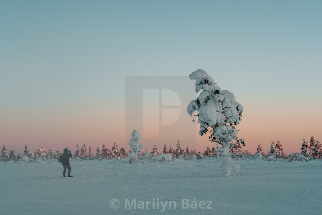 "Lapland nature's" stock image