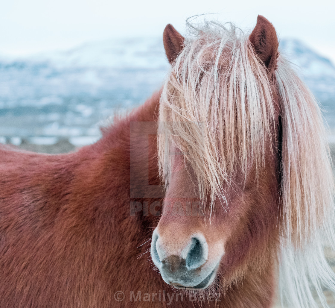 "Blönduós" stock image