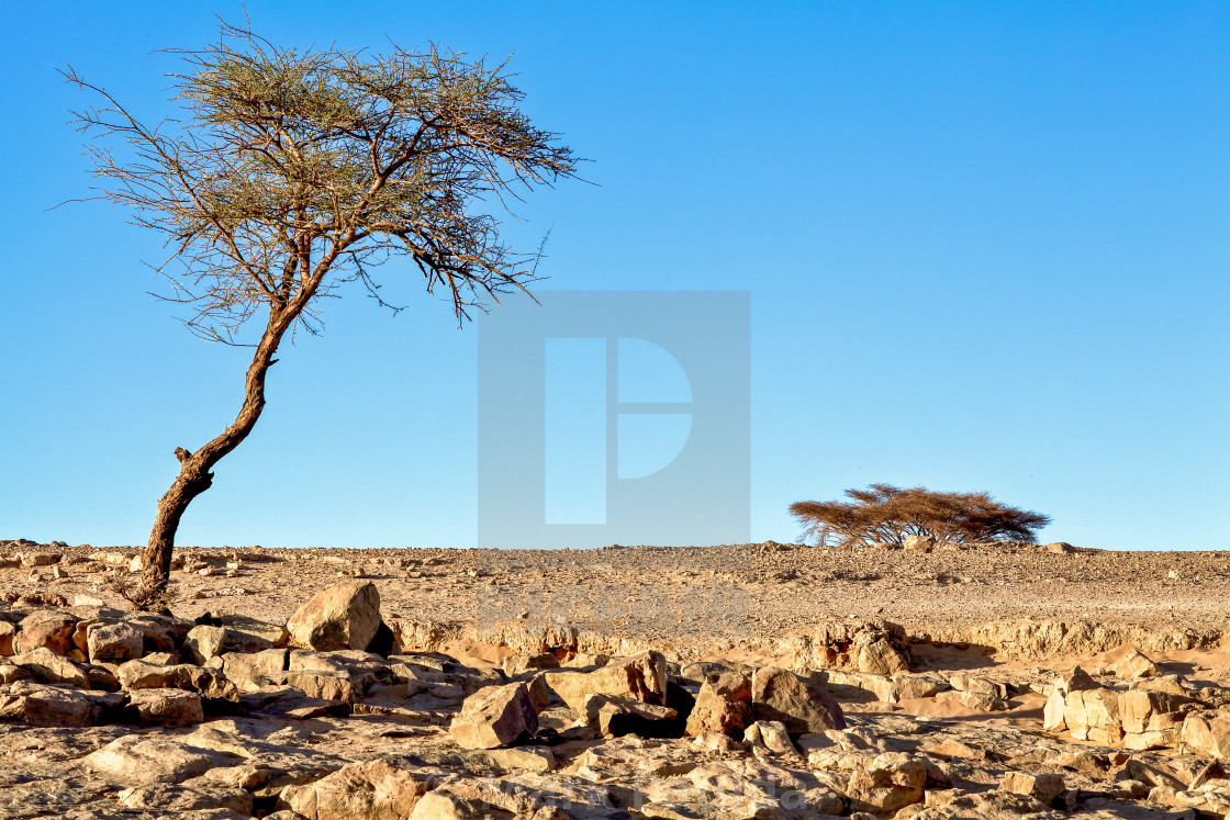 "Zagora Morocco" by Mark Paulda - $37.70 "Zagora Morocco" stock image