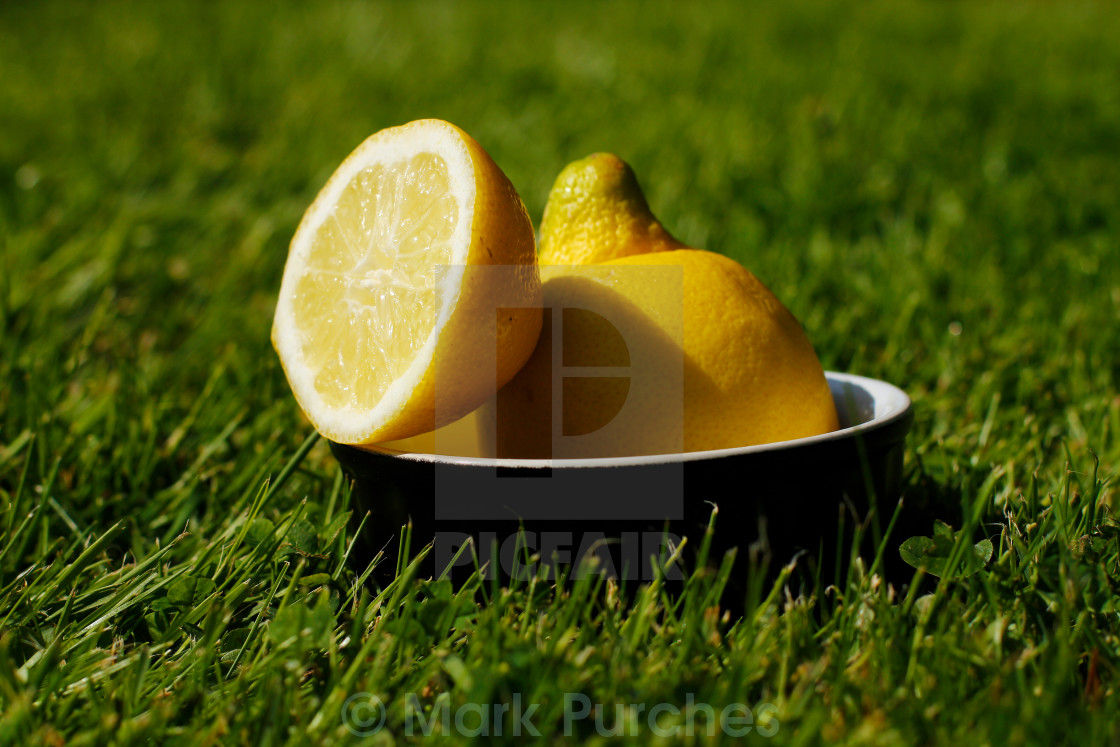 "Refreshing Sliced Lemon Outdoors on Grass" stock image