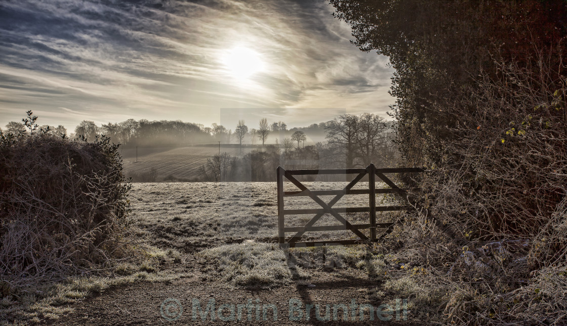 "Frosty Morning" stock image