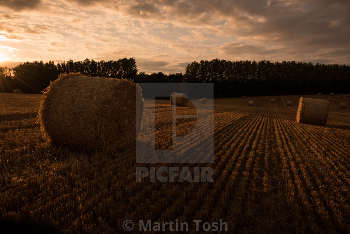 "Round bales. Sloping field, cloudy sky" stock image