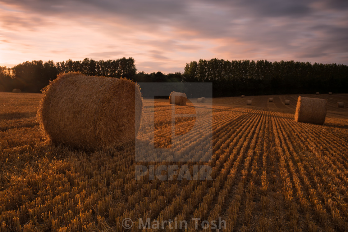 "Round bales. Sloping field, LE sky" stock image