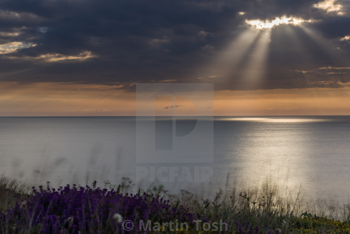 "Dunwich heath heather iv. Crepuscular rays through clouds over sea" stock image