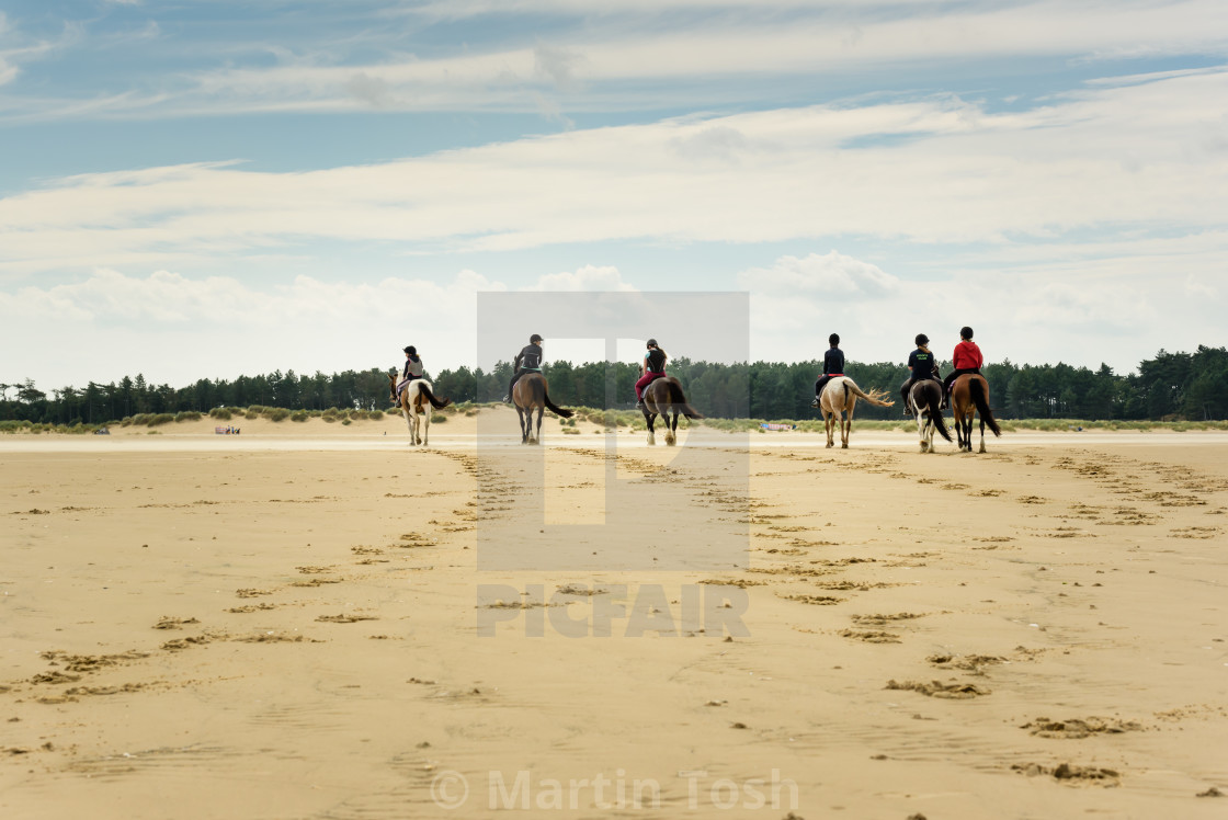 "Horse riders on beach vii. Rear view" stock image