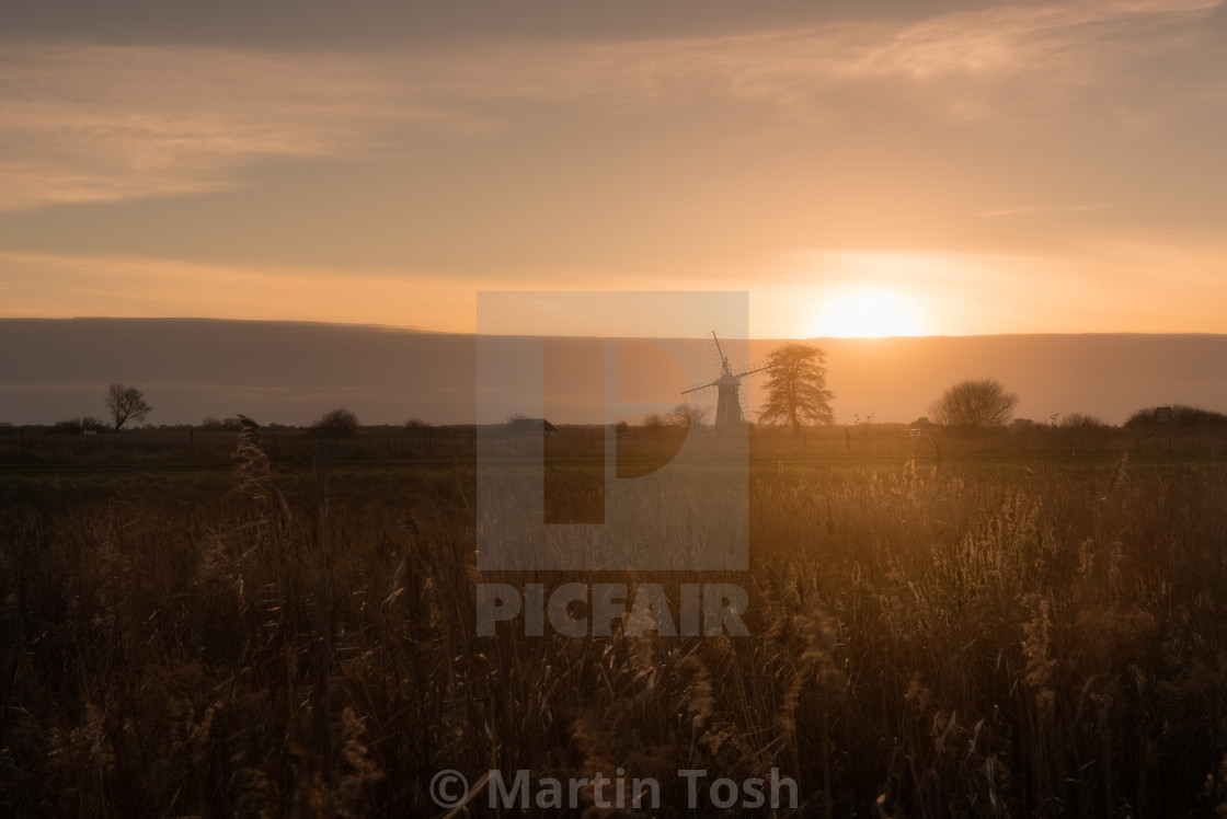 "Thurne Mill evening VII. St Benet's mill beyond golden reeds" stock image