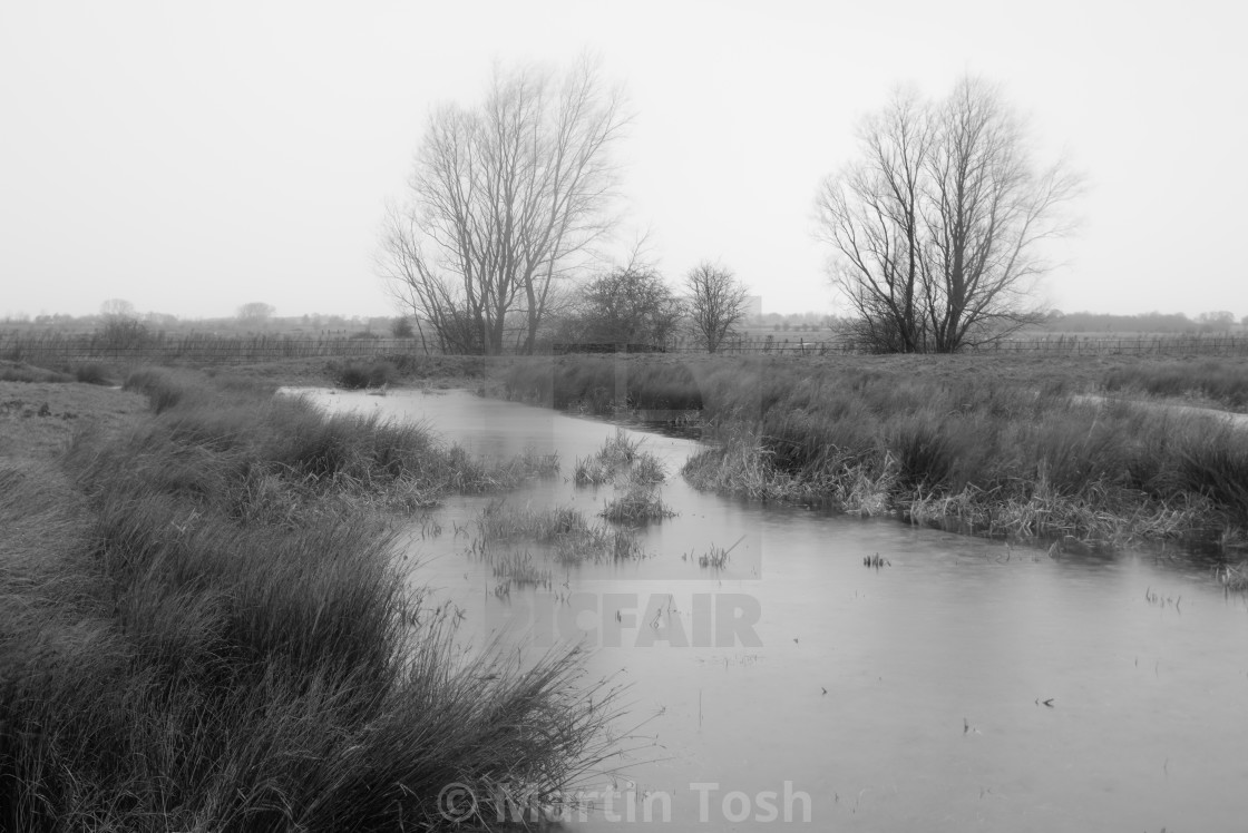 "St Benet's Abbey grey morning I. Rainy pool and trees" stock image