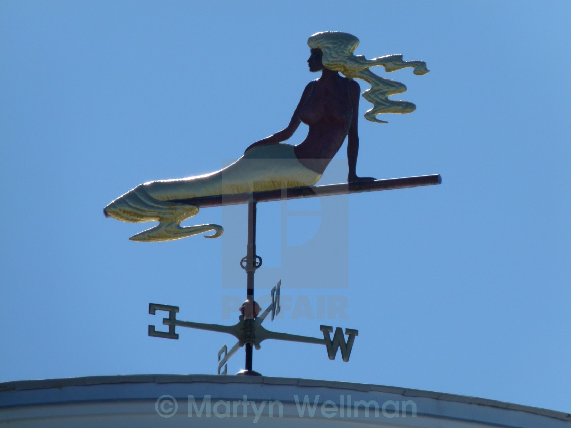 "Mermaid sighting" stock image