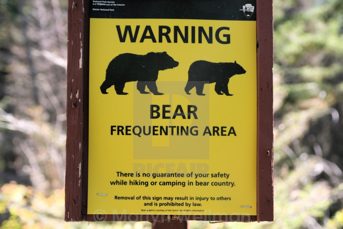 "Bear alert" stock image