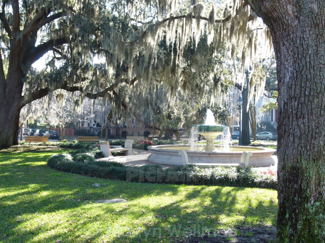 "Old town Savannah (1)" stock image