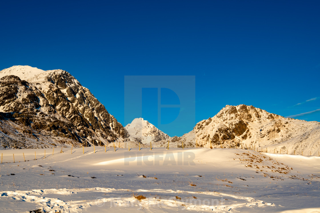 "Snow scene" stock image