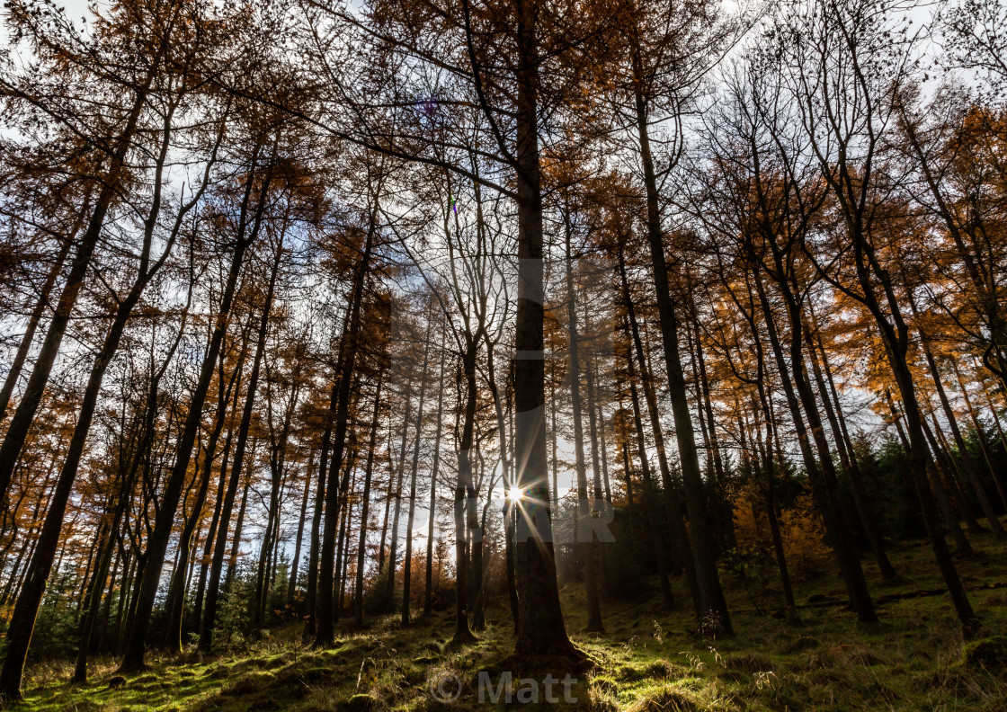 Winhill Barn Sunstar License Download Or Print For 15 50 Photos Picfair Which is so funny to me bc all i can imagine is sokka going throw down your hair!!! to which zuko. https www picfair com pics 07778393 winhill barn sunstar