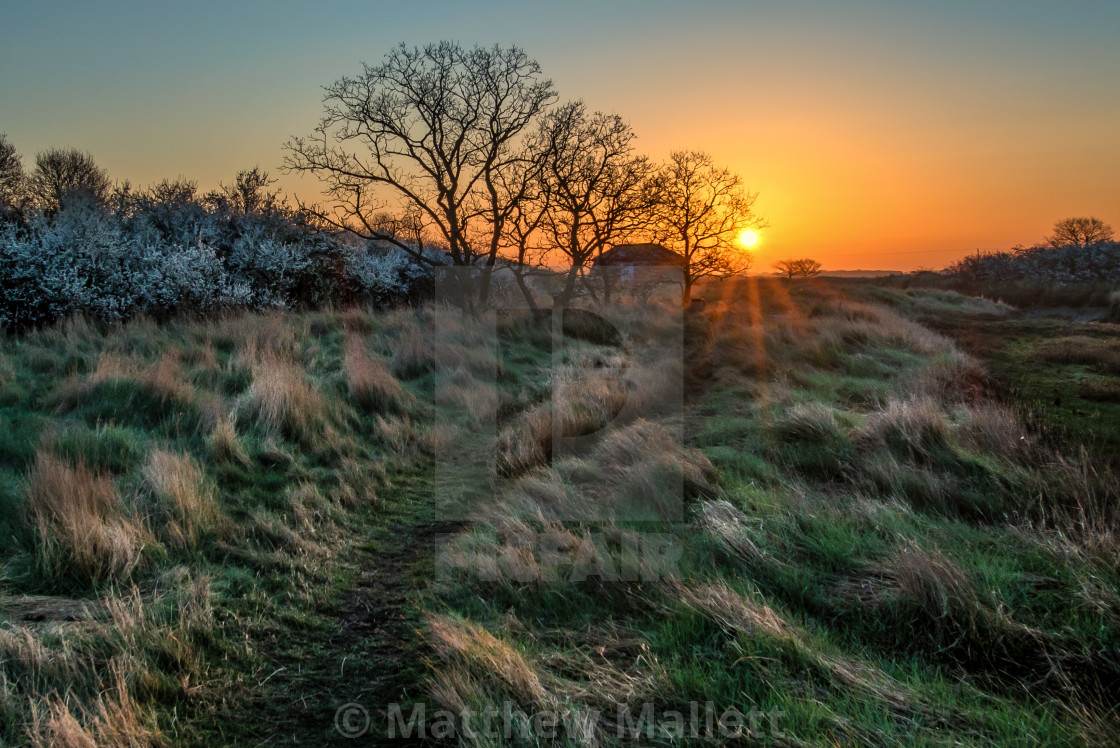 "Essex Countryside Sunrise" stock image