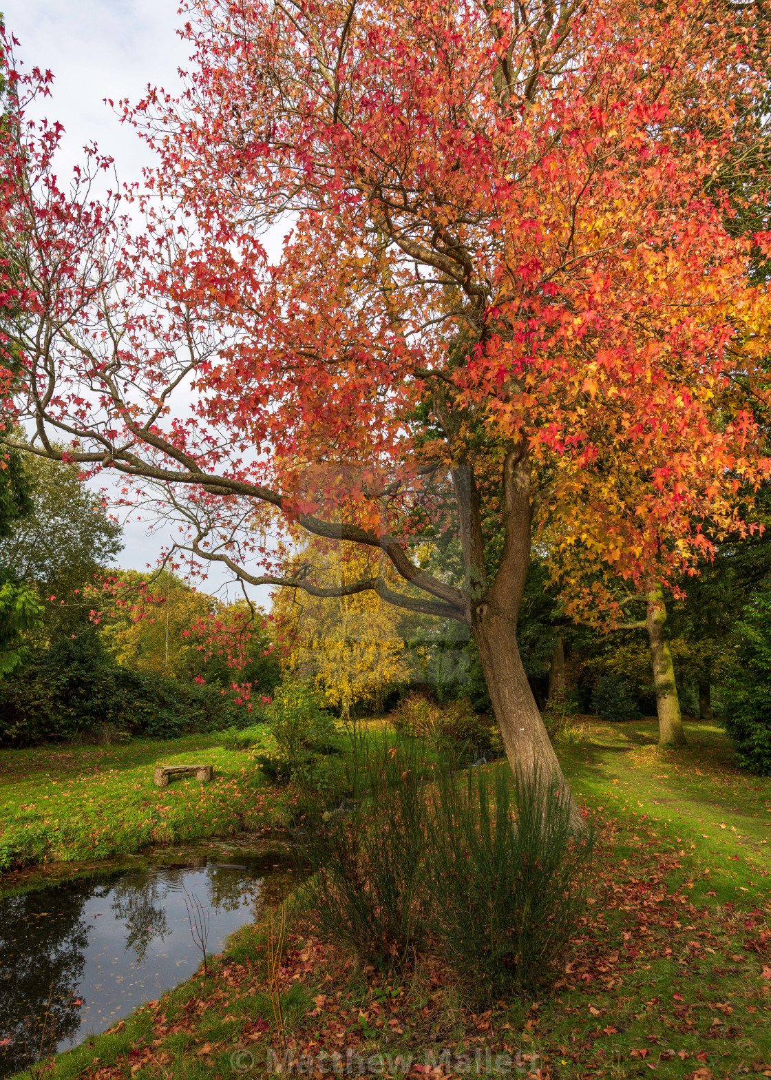 "A Tranquil England Autumn View" stock image