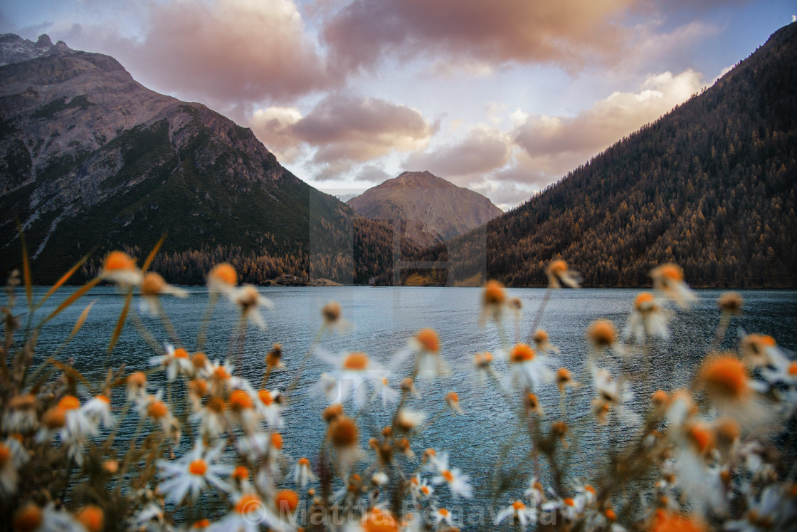 "Exploring the alps" stock image