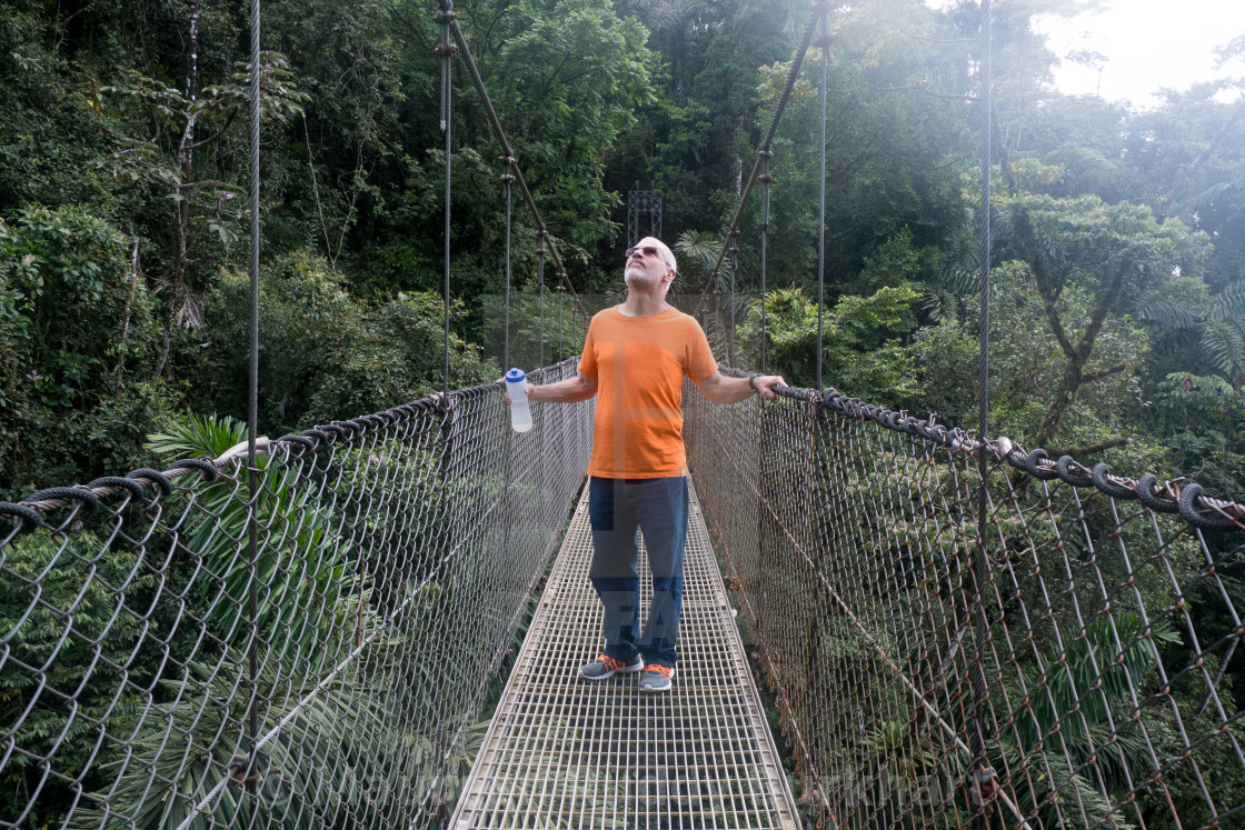 "Gazing at the cloud forest" by Maureen Ruddy Burkhart - $38.89 "Gazing at the cloud forest" stock image