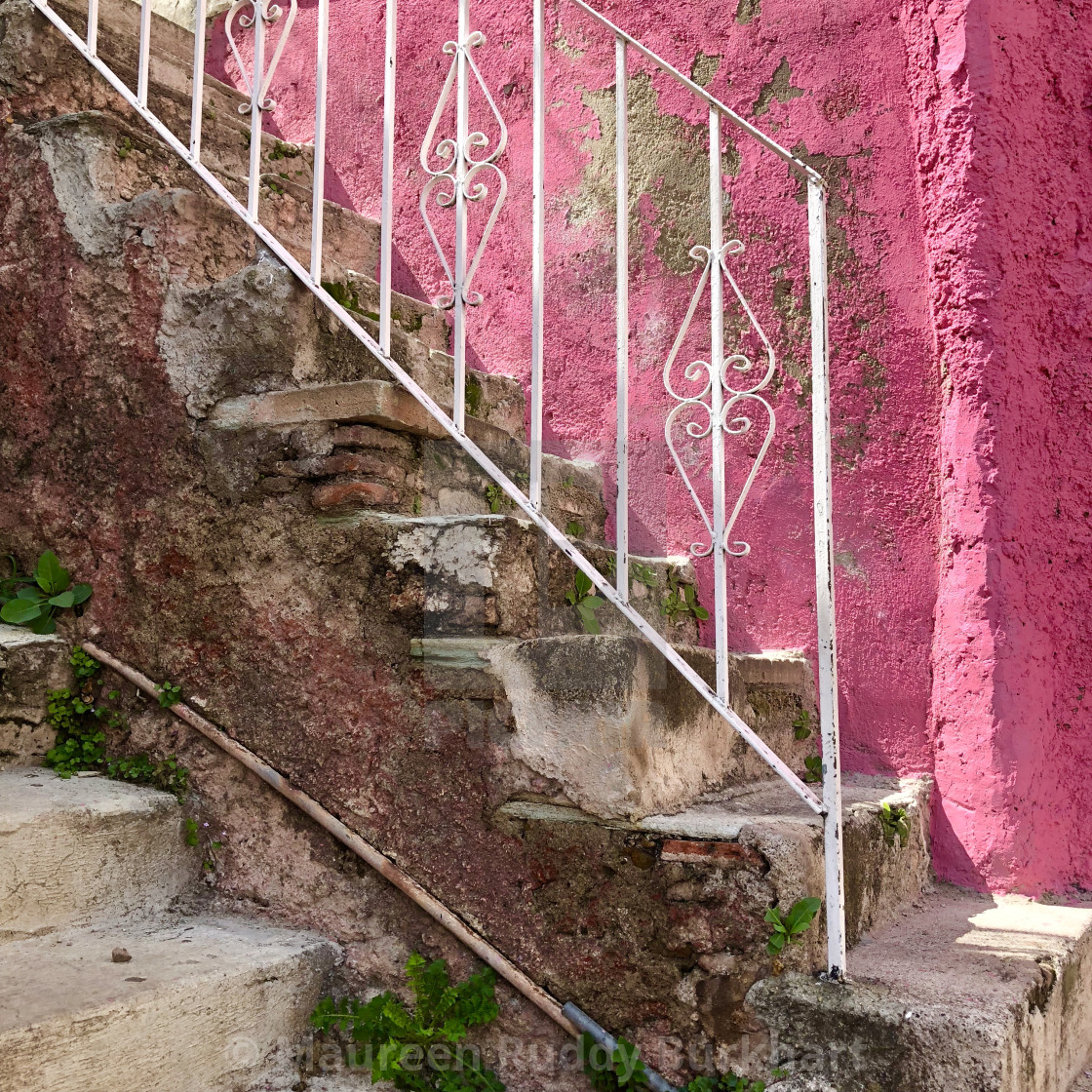 "Pink and White" by Maureen Ruddy Burkhart - $31.12 "Pink and White" stock image